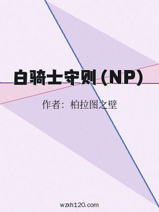 白骑士守则(NP)