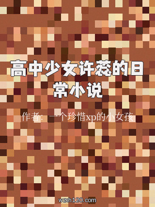 高中少女许蕊的日常小说