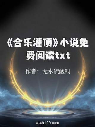 《合乐灌顶》小说免费阅读txt