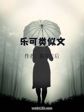 乐可类似文