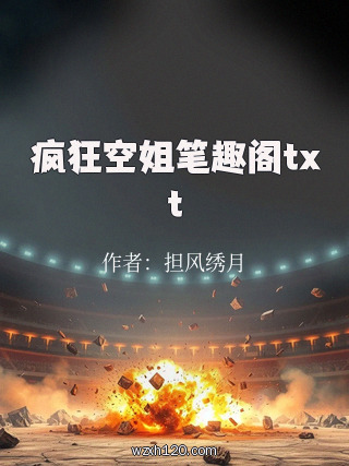 疯狂空姐笔趣阁txt