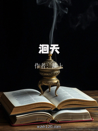 洄天