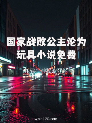 国家战败公主沦为玩具小说免费