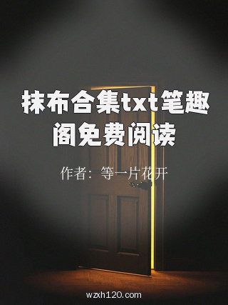 抹布合集txt笔趣阁免费阅读