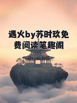 遇火by苏时玖免费阅读笔趣阁