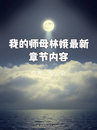 我的师母林娥最新章节内容