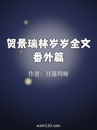 贺景瑞林岁岁全文番外篇