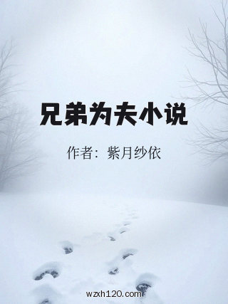 兄弟为夫小说