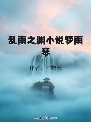 乱雨之渊小说梦雨琴