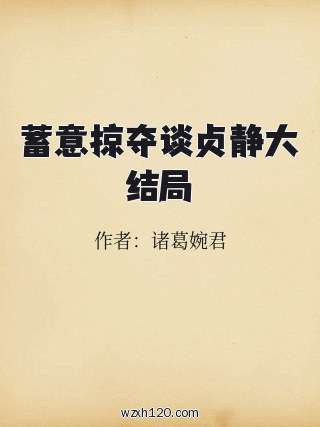 蓄意掠夺谈贞静大结局