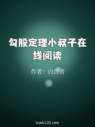 勾股定理小叔子在线阅读