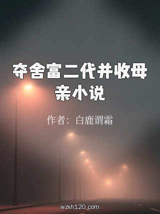 夺舍富二代并收母亲小说