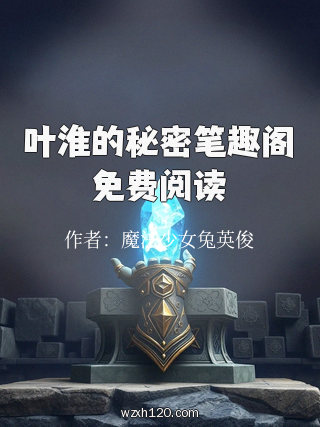 叶淮的秘密笔趣阁免费阅读