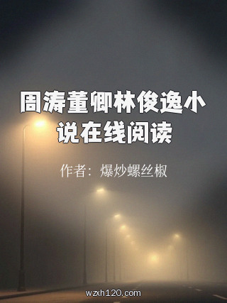 周涛董卿林俊逸小说在线阅读