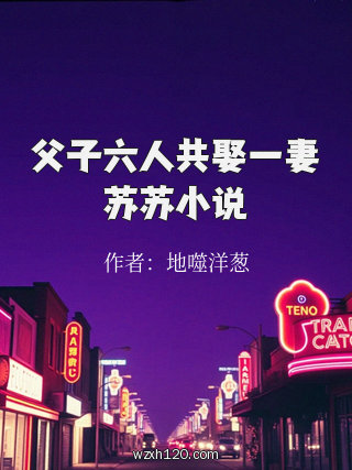 父子六人共娶一妻苏苏小说