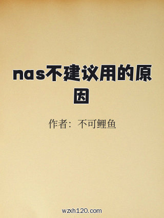 nas不建议用的原因