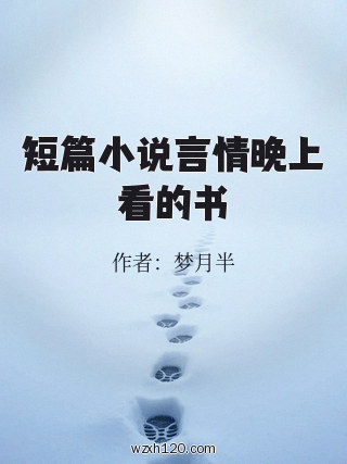 短篇小说言情晚上看的书