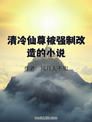 清冷仙尊被强制改造的小说