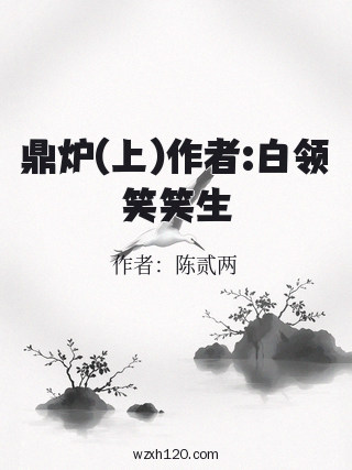 鼎炉(上)作者:白领笑笑生