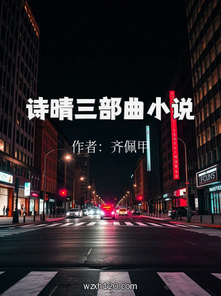 诗晴三部曲小说
