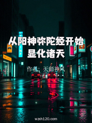 从阳神弥陀经开始显化诸天