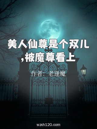 美人仙尊是个双儿,被魔尊看上