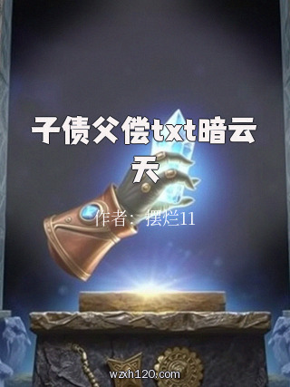 子债父偿txt暗云天