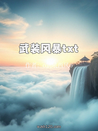 武装风暴txt