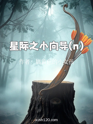 星际之小向导(n)