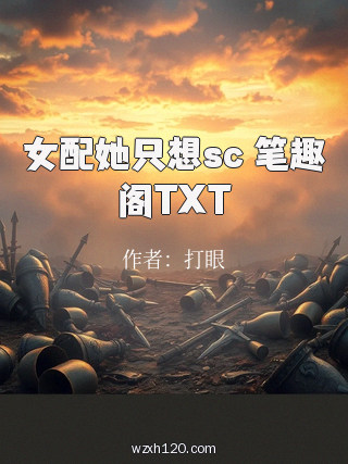 女配她只想sc 笔趣阁TXT