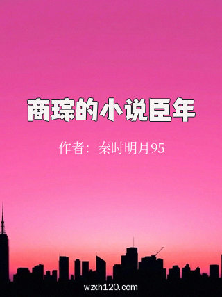 商琮的小说臣年