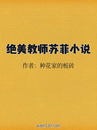绝美教师苏菲小说