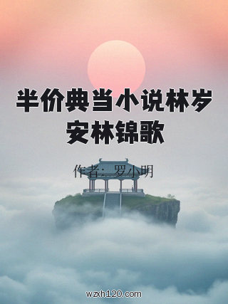 半价典当小说林岁安林锦歌