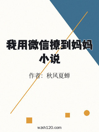 我用微信撩到妈妈小说