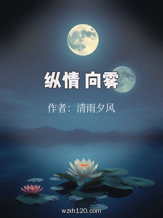 纵情 向雾
