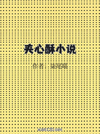 夹心酥小说