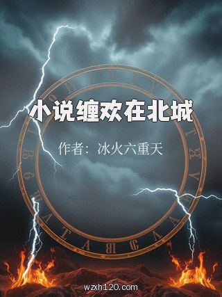 小说缠欢在北城