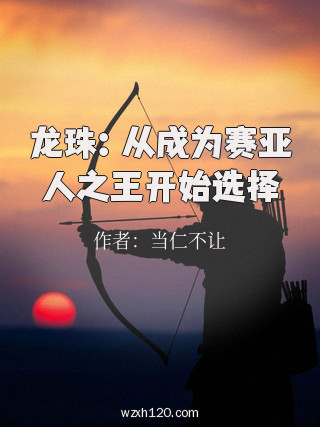 龙珠:从成为赛亚人之王开始选择
