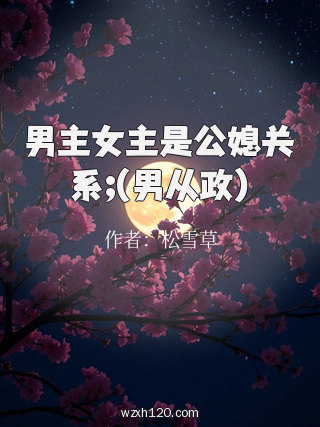 男主女主是公媳关系;(男从政)