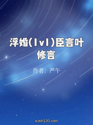 浮婚(1v1)臣言叶修言