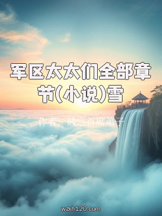 军区太太们全部章节(小说)雪