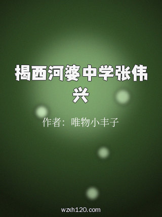 揭西河婆中学张伟兴
