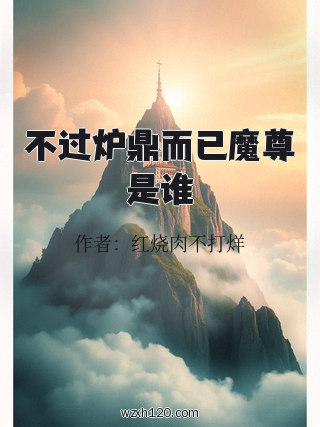 不过炉鼎而已魔尊是谁