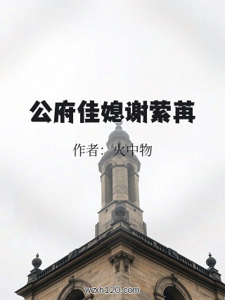 公府佳媳谢萦苒