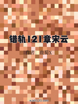 错轨121章宋云