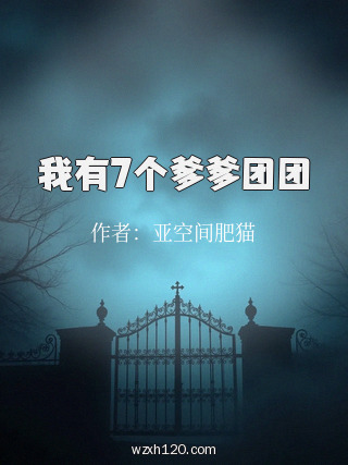 我有7个爹爹团团