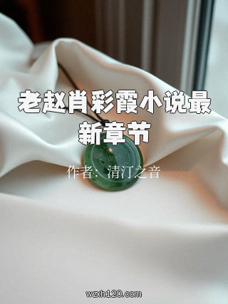 老赵肖彩霞小说最新章节