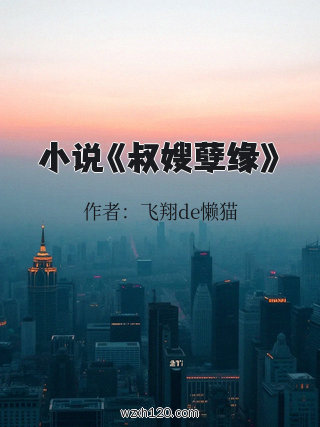 小说《叔嫂孽缘》