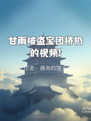 甘雨被盗宝团挤扔的视频!
