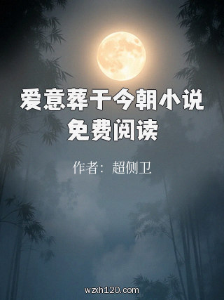 爱意葬于今朝小说免费阅读